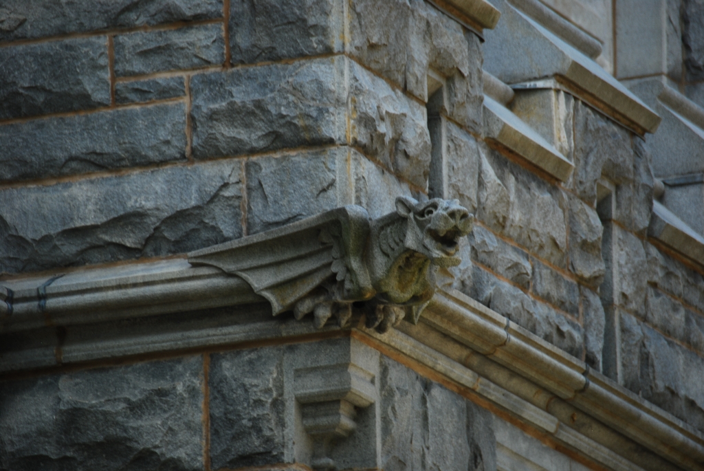 DSC_9766.JPG